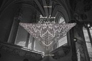 Vintage Black Lace Frames & Doilies, an Object Graphic by Lana Elanor (Thumbnail 11 of 20)