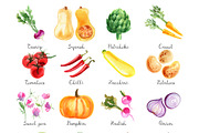 Watercolor food. Fruits & Vegetables, a Food Illustration by irina.vaneeva (Thumbnail 5 of 7)
