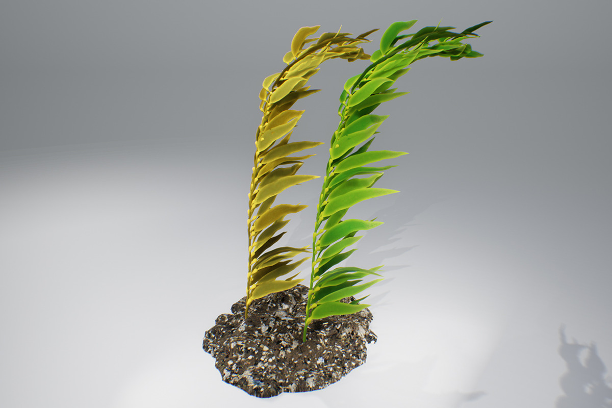 Kelp V2, an Environmental 3D Model by AndrewWhite (Photo 1 of 12)