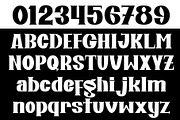Antigo, a Serif Font by Letterafa Studio (Thumbnail 5 of 7)