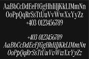 403 Mesapholic Modern Serif, a Serif Font by 403 Type Foundry (Thumbnail 2 of 16)