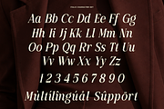 Family Luxury Font - Actrist Stylish, a Serif Font by Font Liner (Thumbnail 10 of 10)