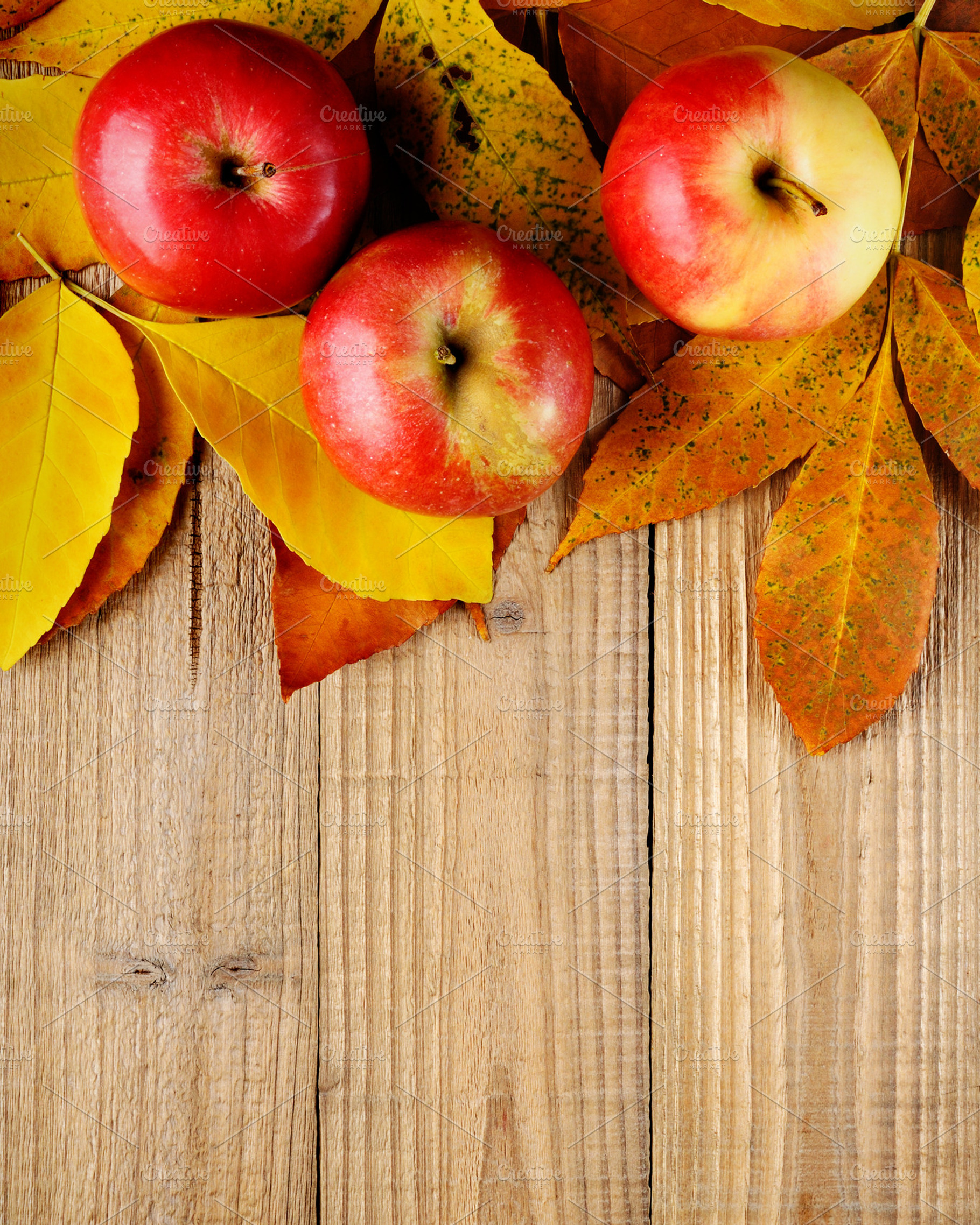 Apples on autumn leaves stock photo containing apples and fruit
