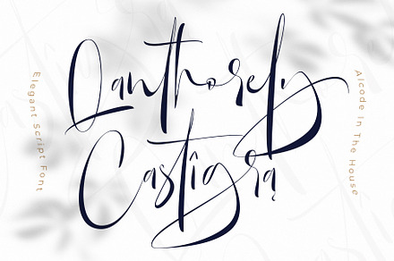 Qanthorely Castigra, a Script Font by Alcode