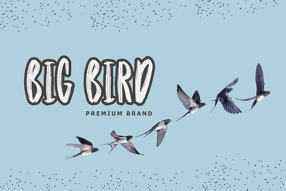 Amotir Bold Brush Display Font, a Sans Serif Font by Giant Design (Photo 4 of 10)