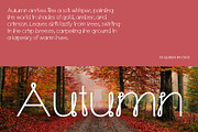 CS Quince – Cute Font, a Sans Serif Font by Craft Supply Co. (Thumbnail 6 of 8)