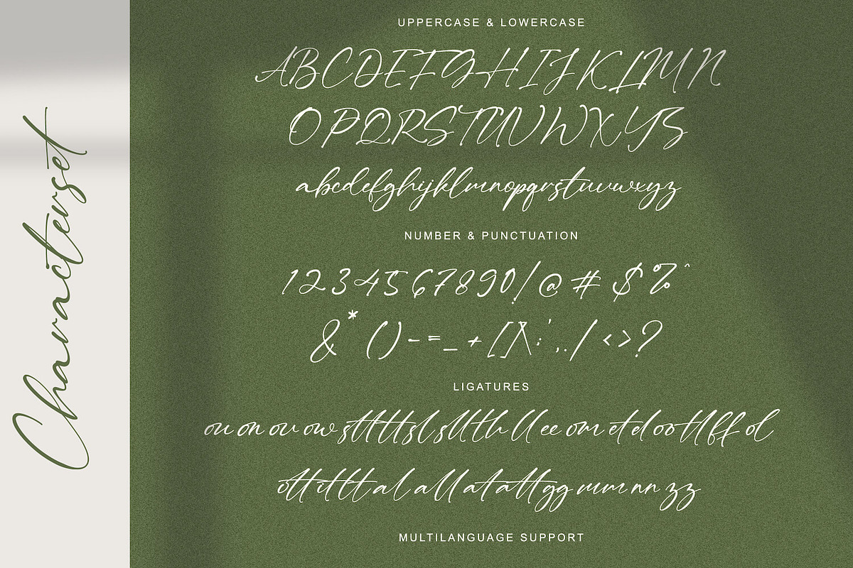 Tindak Pundi - Signature Script Font, a Script Font by StringLabs (Photo 8 of 9)