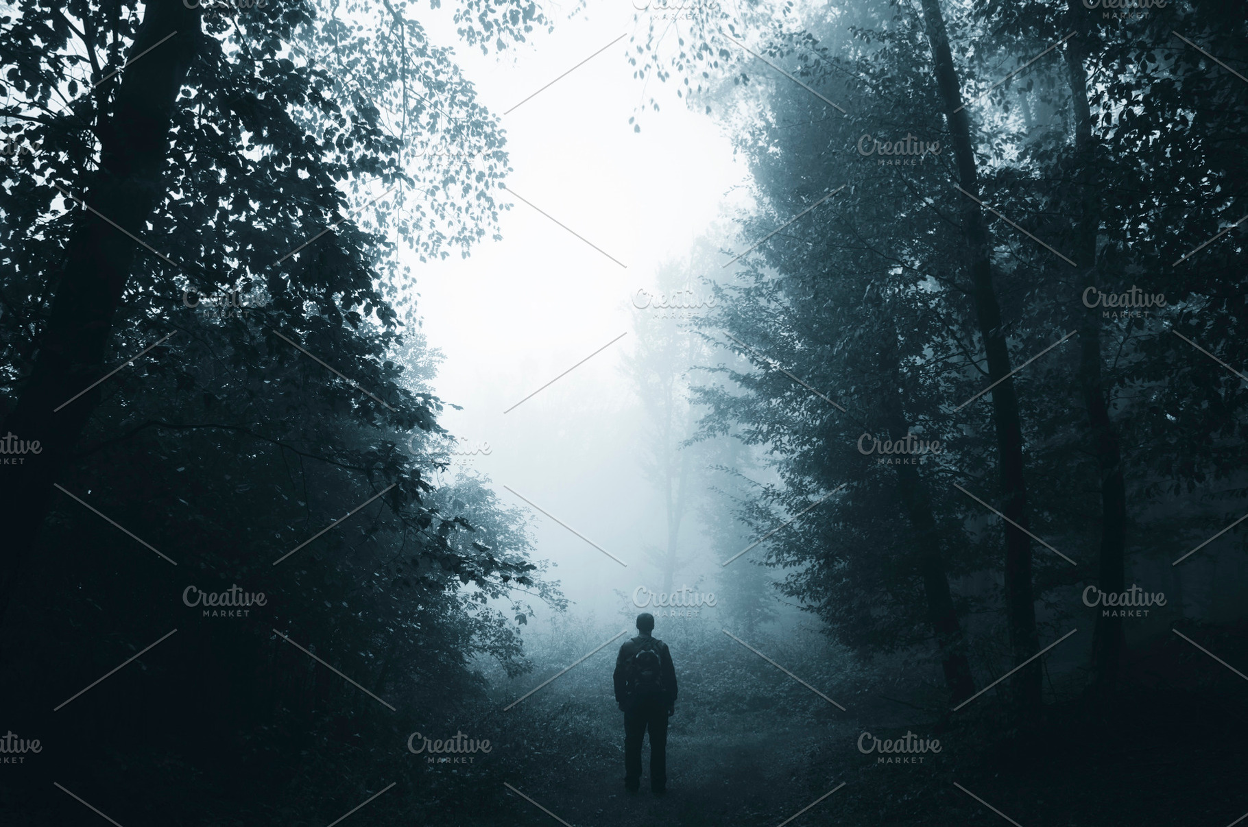 Man in dark fantasy forest with fog, a Nature Photo by Atmospheric visuals