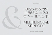 Angelyne - Modern Serif Font, a Serif Font by Muflieart (Thumbnail 10 of 10)