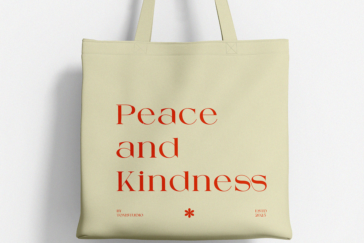 Chetta Vissto, a Serif Font by ToniStudio (Photo 5 of 9)