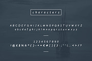 Brave New World | Font, a Sans Serif Font by Heart + Soul Studios (Thumbnail 4 of 7)