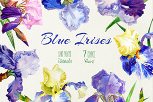Blue Irises. Watercolor Clip Art