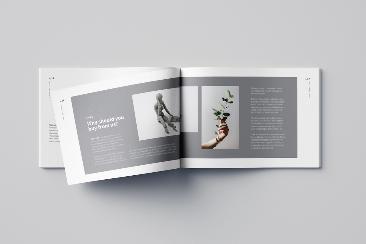 Cagura Brochure/Catalog, a Brochure Template by Meenom Templates (Photo 13 of 14)