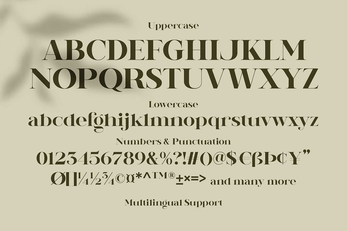 Reindan - Beautiful Bold Serif, a Font by Novitype (Photo 14 of 14)