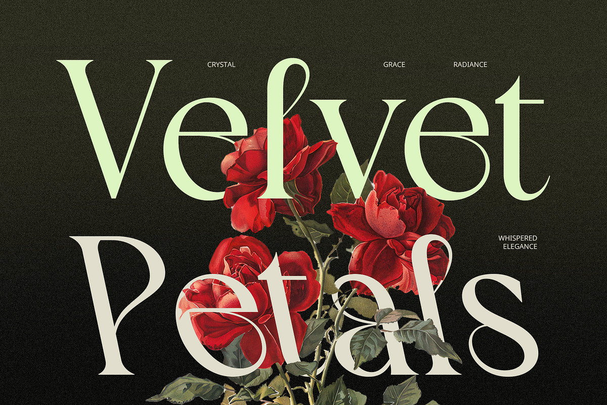CS Blessing – Art Nouveau Font, a Serif Font by Craft Supply Co. (Photo 6 of 8)