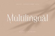 Chelvin Elegant Serif, a Serif Font by Dora Typefoundry (Thumbnail 13 of 20)