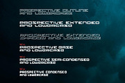 Prospective Font, a Sans Serif Font by Brian White Design Goods (Thumbnail 2 of 9)