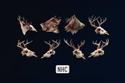 NHC – Leather Animal Trophies, an Animal Illustration by New Horizon Creators (Thumbnail 5 of 6)