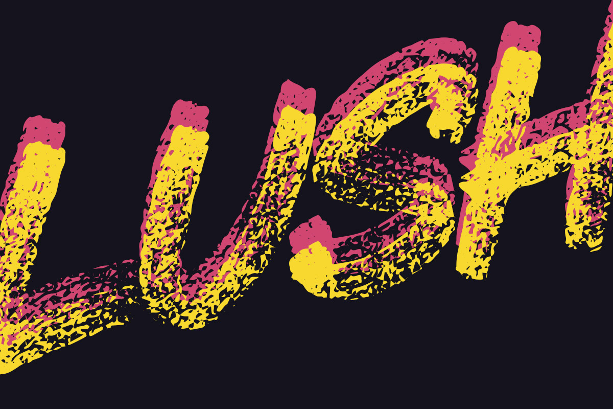 Lush - Brush Font, a Script Font by Tugcu Design Co. (Photo 4 of 4)