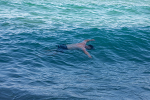 Male swimmer in blue water, captured mid-stroke, surrounded by rolling ocean wa, a Person Photo by Ales Munt
