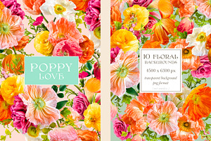 Poppy Love Floral Clip Art