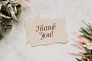 Aster Glow | Spring font duo, a Sans Serif Font by Anna Zakharchenko (Thumbnail 19 of 19)