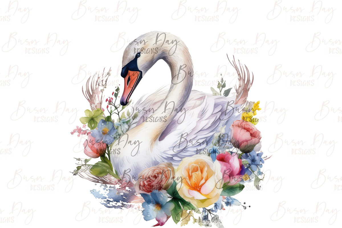 Watercolor Swan Clipart Bundle, an Animal Illustration by BusyDaydesign