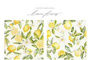 New! Summer + Fall Edition Bundle, a Seasonal Illustration by Isabelle Salem (Thumbnail 210 of 272)
