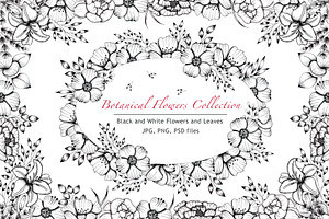 Black and White Botanical Collection