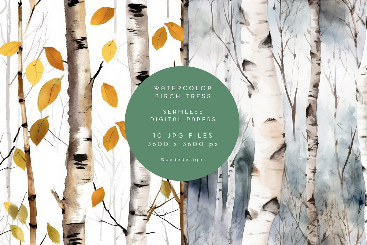Watercolor Birch Trees, a Pattern Graphic by PeDe Designs (Photo 5 of 6)