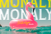 Monaly, a Symbol Font by Nathatype (Thumbnail 11 of 11)