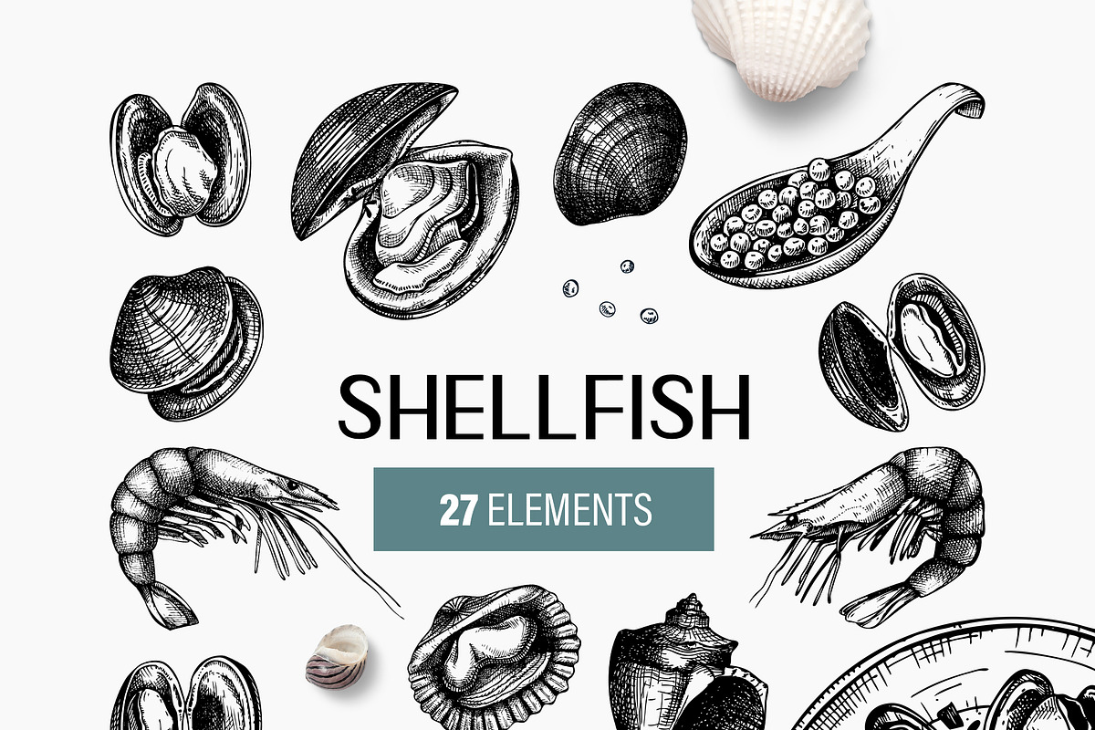 BUNDLE - Fish & Meat Vectors, a Food Illustration by Yevheniia (Photo 7 of 9)