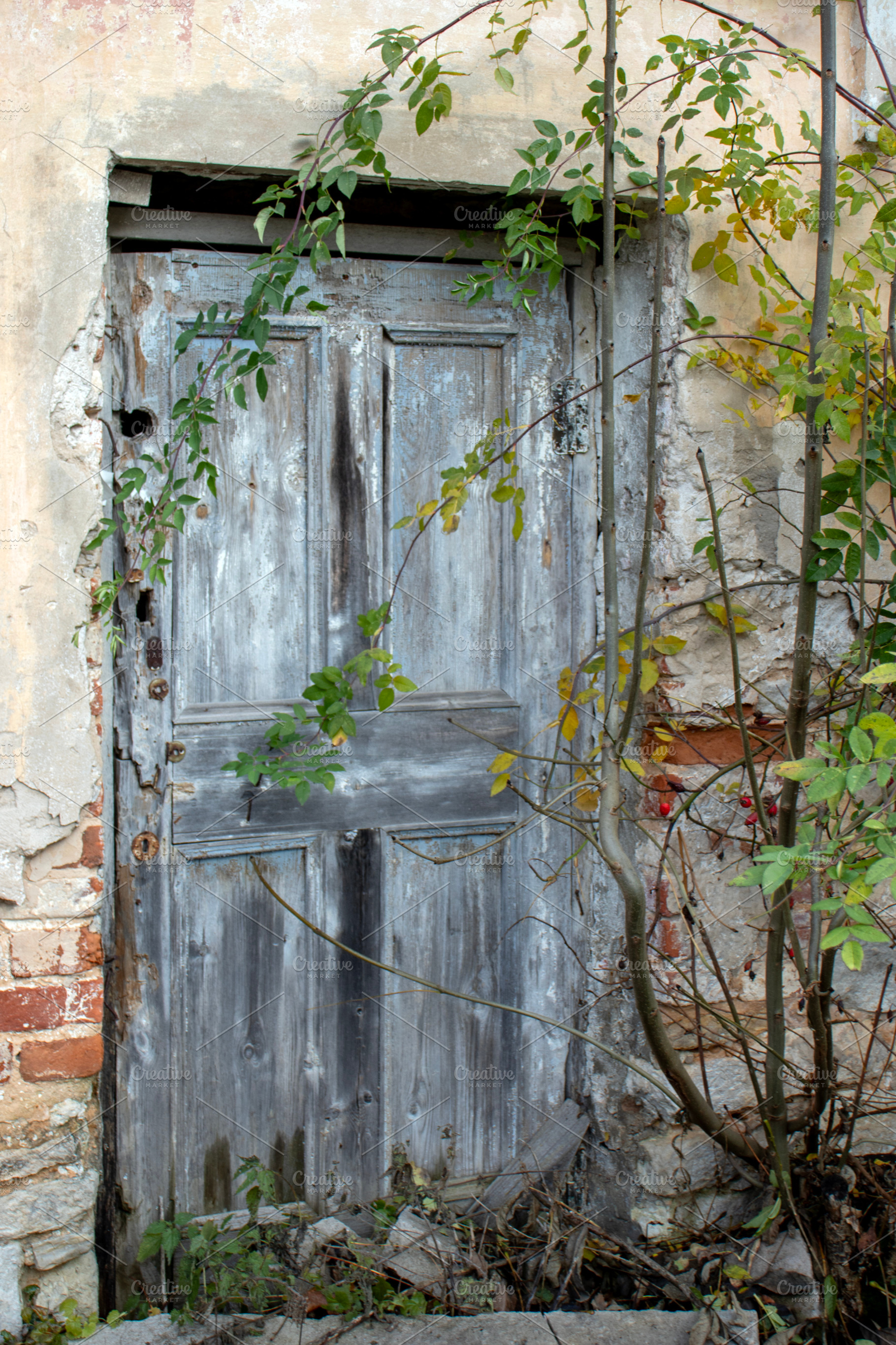 An old door in a brick house, an Architecture Photo by Schreibikus