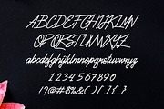 The Fallen, a Script Font by ArdiDesigns (Thumbnail 2 of 3)