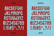 Flak Alley, a Sans Serif Font by UppercapType (Thumbnail 5 of 13)