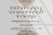 Welroseltone - Unique Script Font, a Script Font by Letterhend Studio (Thumbnail 6 of 10)
