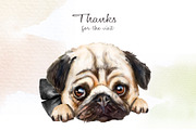 Pugs dogs watercolor clipart., an Animal Illustration by SavinV (Thumbnail 7 of 7)