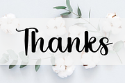 Dialog Lovely, a Handwritten Font by FreshTypeINK (Thumbnail 7 of 7)
