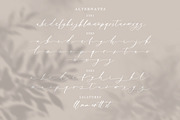 Bitter Love - Modern Calligraphy, a Script Font by Bale Type (Thumbnail 9 of 10)