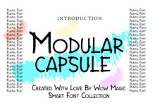 Modular Capsule