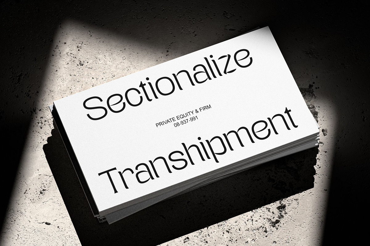 Teenage Wander - Variable Font, a Serif Font by TeenageFoundry (Photo 5 of 12)