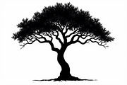 Wild Forest Tree Clipart Set, an Illustration by balal (Thumbnail 8 of 20)