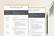 Black and Gold Resume Template, a Resume Template by Stanin Studio (Thumbnail 2 of 10)