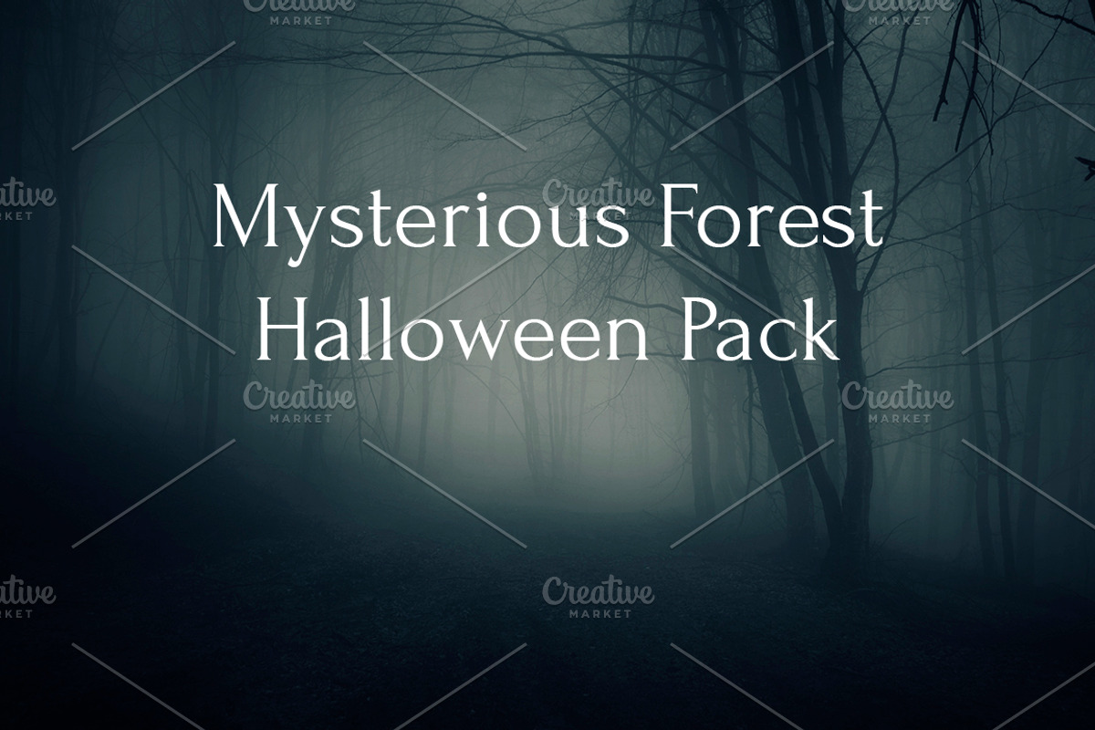 Mysterious forest halloween pack stock photo containing dark and eerie, a Nature Photo by Atmospheric visuals (Photo 1 of 5)