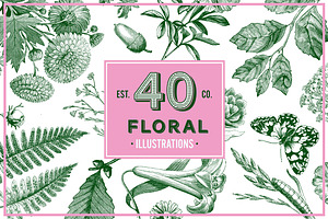 Floral Vintage Vector Illustrations