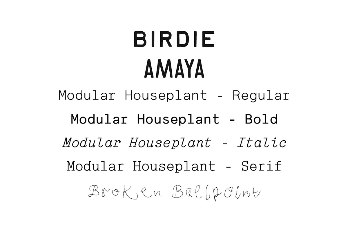 Taylor Penton Bundle I, a Sans Serif Font by Off The Rack © (Photo 2 of 3)