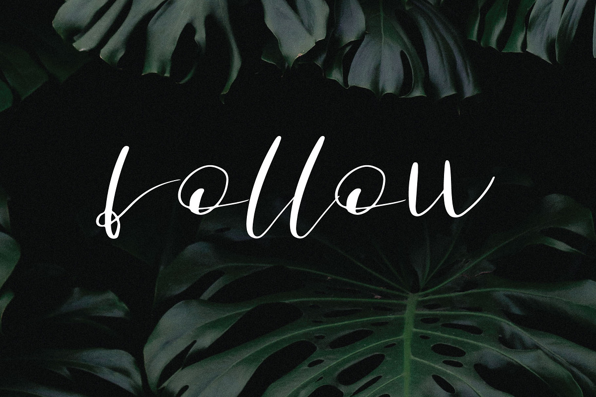 follow font