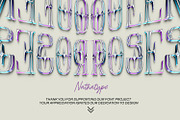 Roses Queen, a Serif Font by Nathatype (Thumbnail 11 of 11)