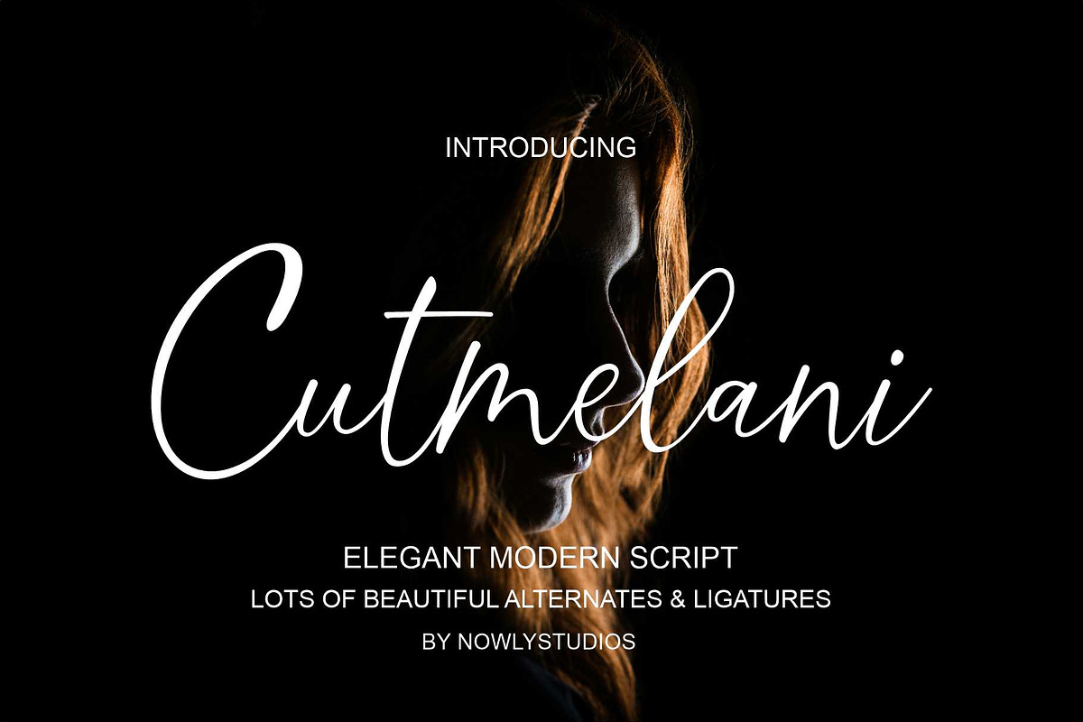 Cutmelani Script, a Script Font by Nowlystudios (Photo 1 of 8)