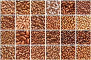 Nuts Seamless Pattern, a Pattern Graphic by Forhadx5 (Thumbnail 7 of 8)